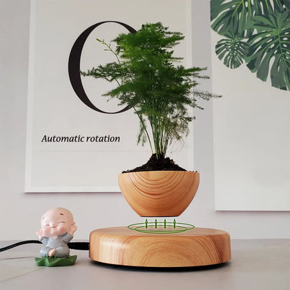 Magic Levitating Planter Bonsai Succulent Pot