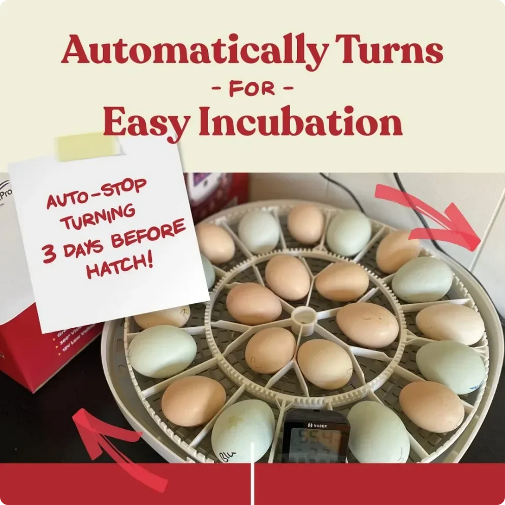 Manna Pro Harris Farms Nurture Right 360 Egg Incubator